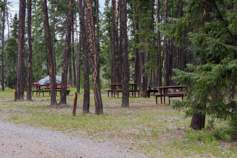 Tyrrell Lake Campground; Photo: Andy Goodson
